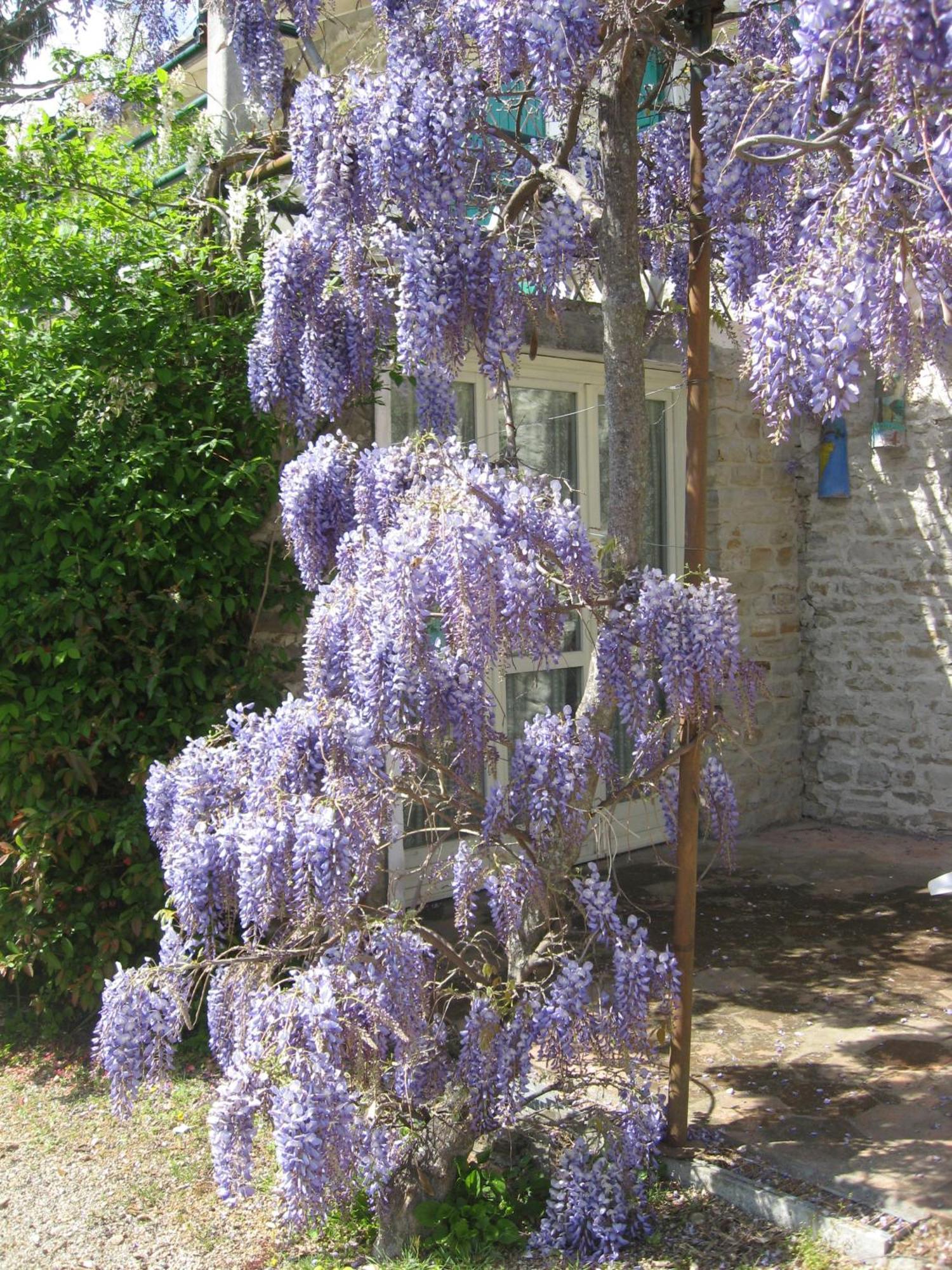 Agriturismo Cascina Serra Cossano Belbo Bagian luar foto