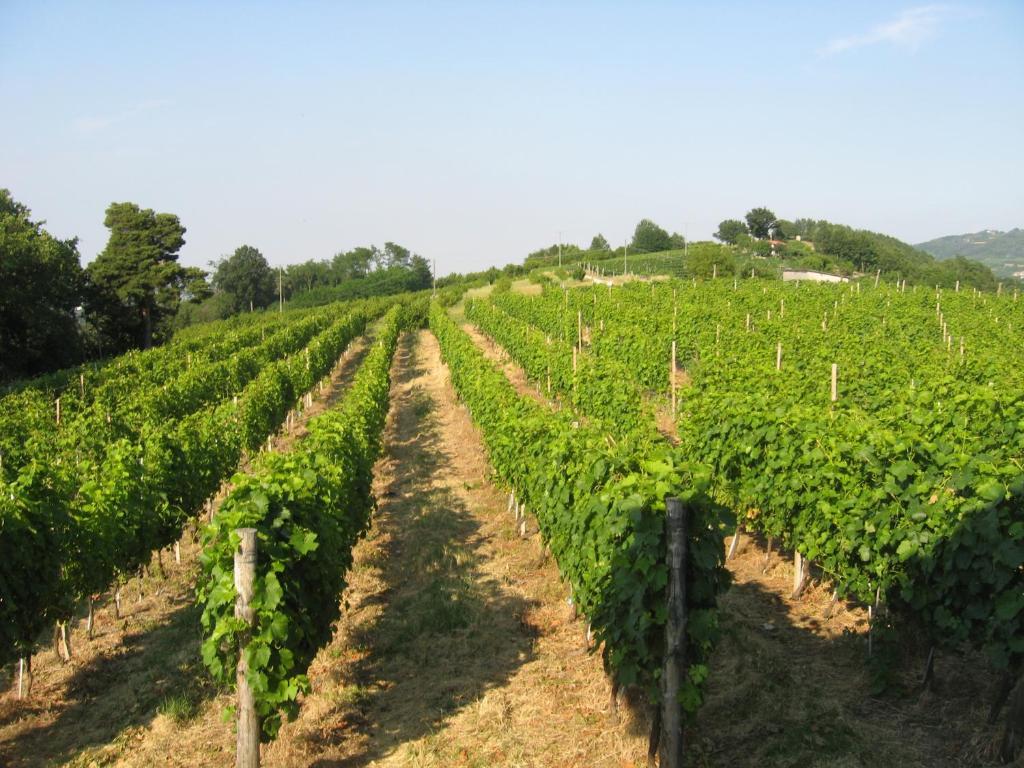 Agriturismo Cascina Serra Cossano Belbo Ruang foto