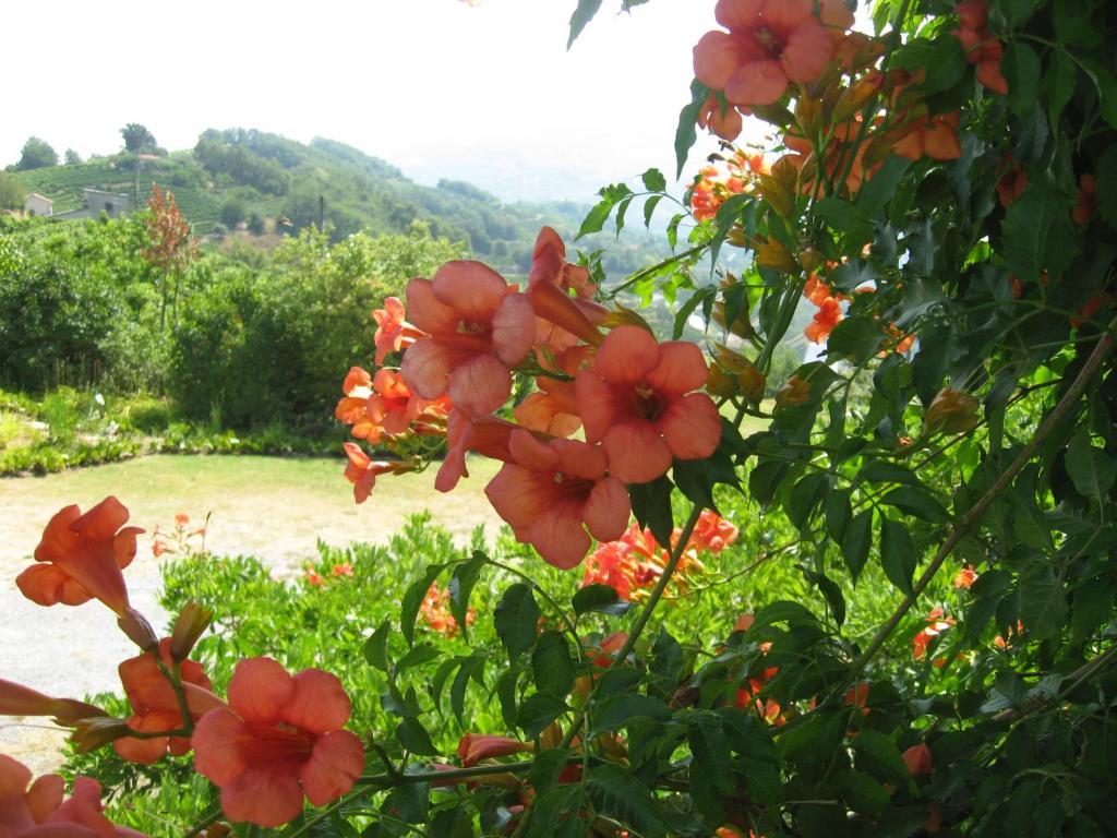 Agriturismo Cascina Serra Cossano Belbo Bagian luar foto
