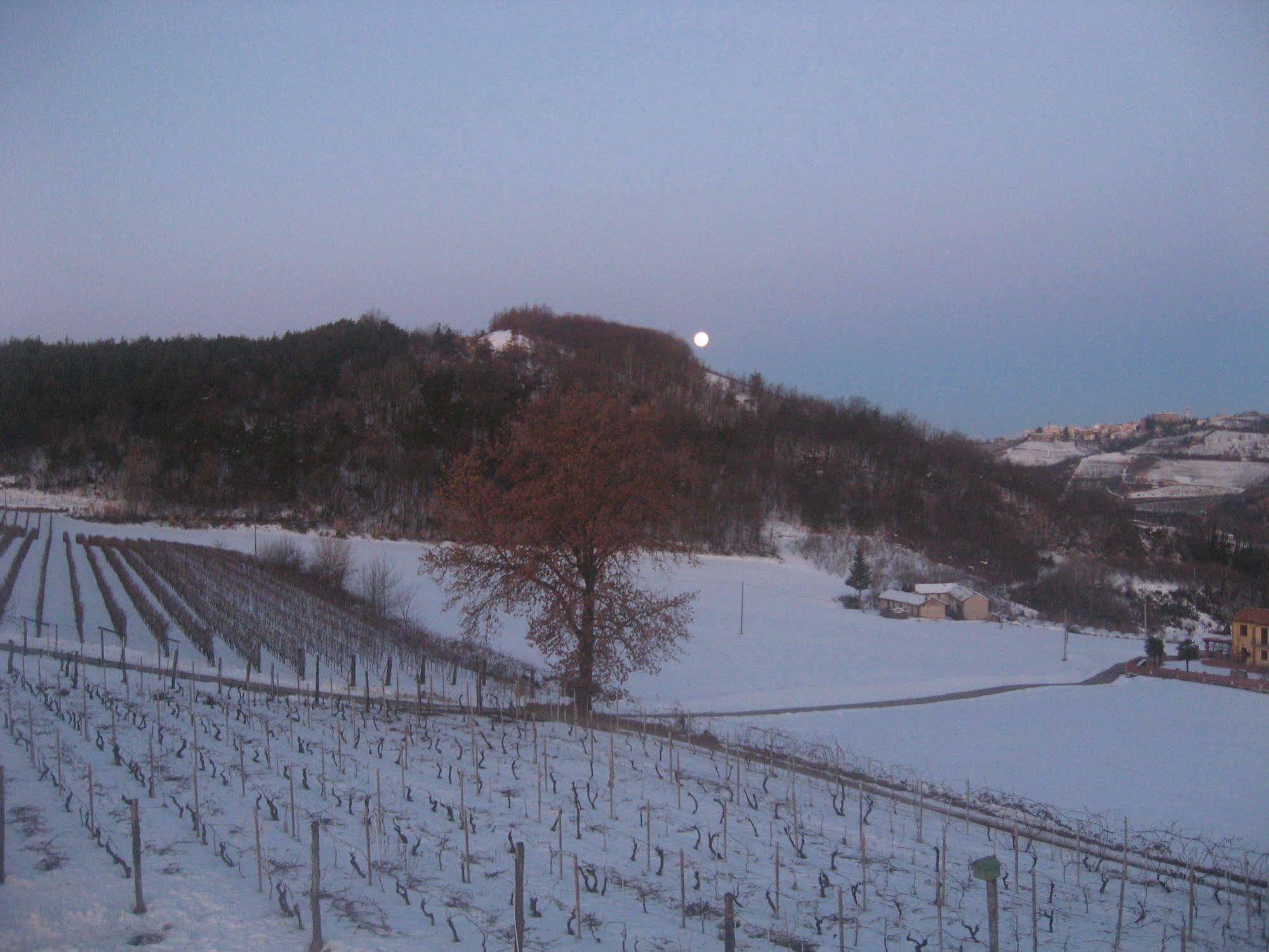 Agriturismo Cascina Serra Cossano Belbo Bagian luar foto