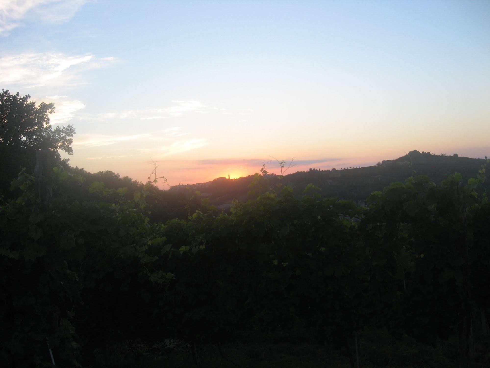 Agriturismo Cascina Serra Cossano Belbo Bagian luar foto