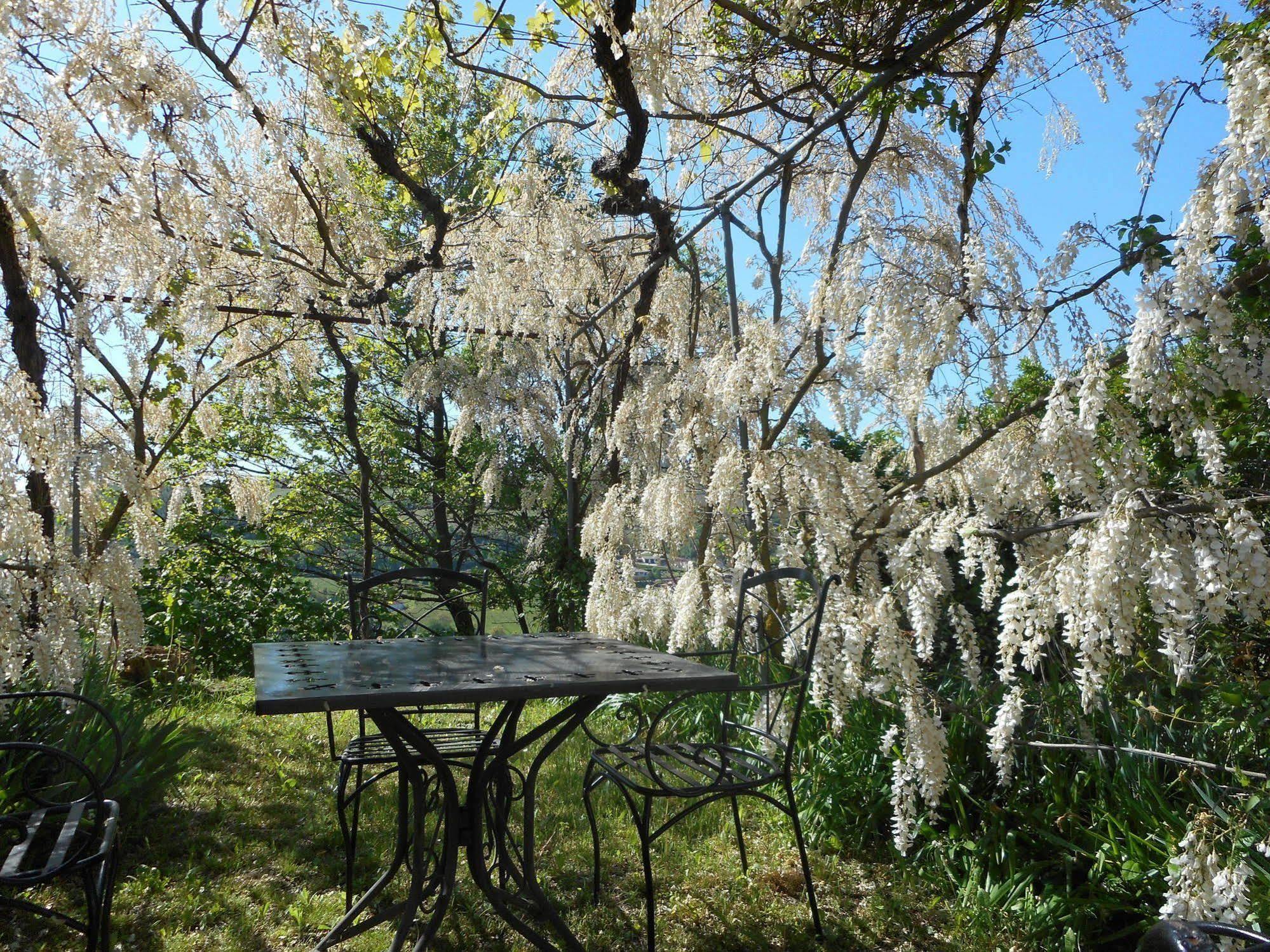 Agriturismo Cascina Serra Cossano Belbo Bagian luar foto